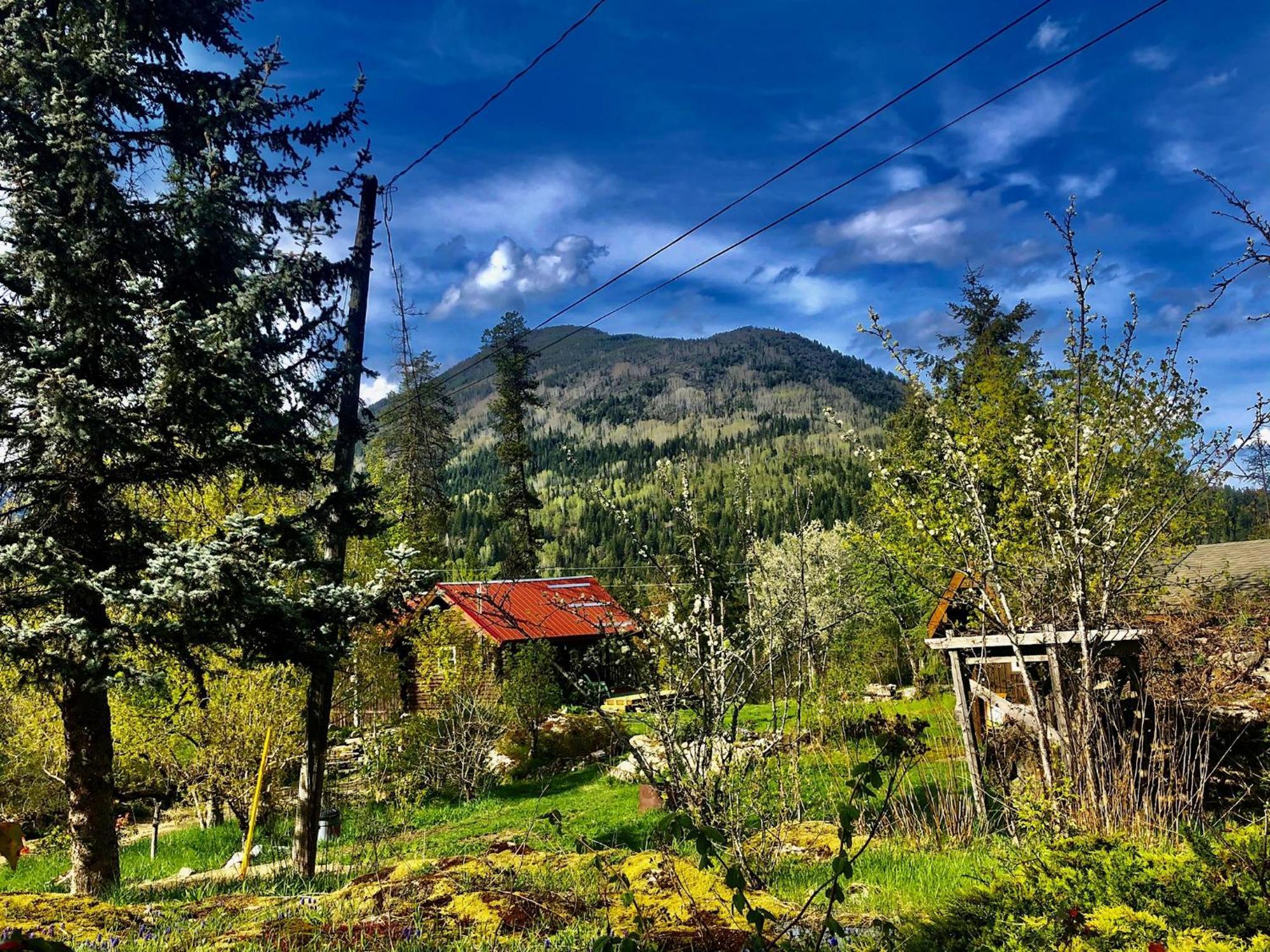Morning Star Log Cabin Nelson Zewnętrze zdjęcie